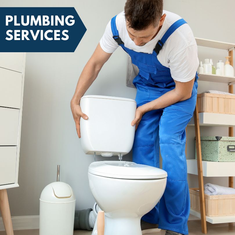 Plumbing Company in Montour, IA